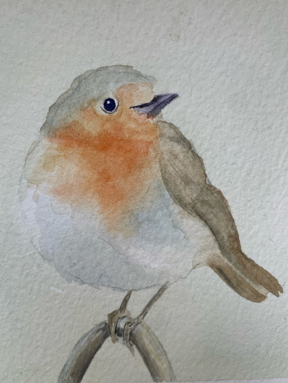 Original Hand-Painted Bird Watercolor - Robin